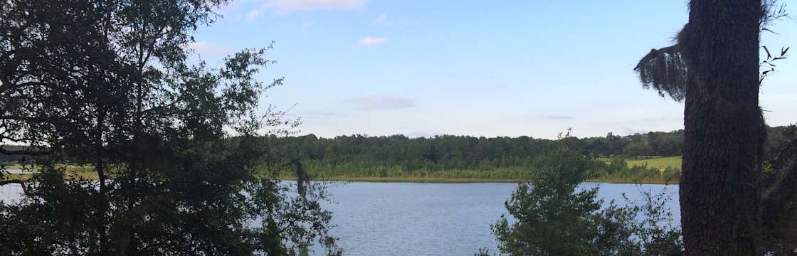 Little Lake Bryant Primitive Campground Ocala Fl 1 Hipcamper Review And 1 Photo