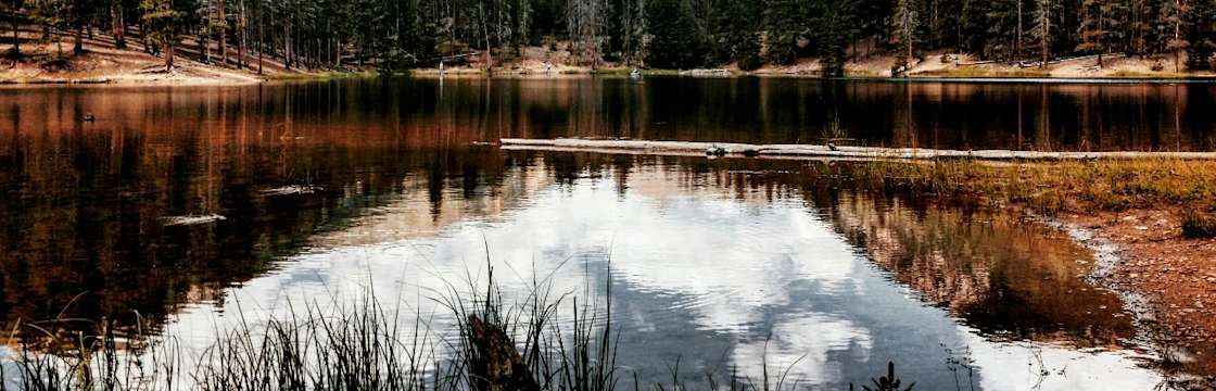 Elbert creek deals campground