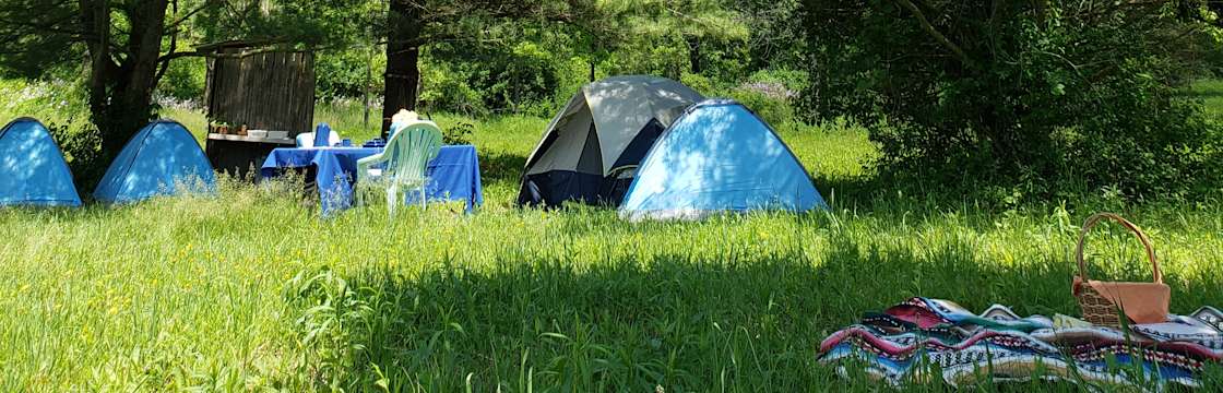 Wildwood Farm S Whispering Pines Wildwood Farm Ny 15 Hipcamper Reviews And 35 Photos