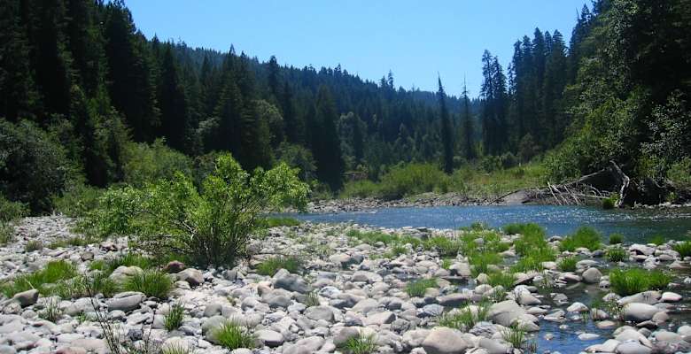 Grizzly creek camp sale