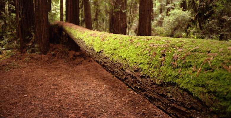 West ridge trail camp discount