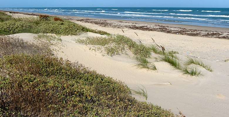 North Beach Campground Padre Island Tx 1 Hipcamper Review