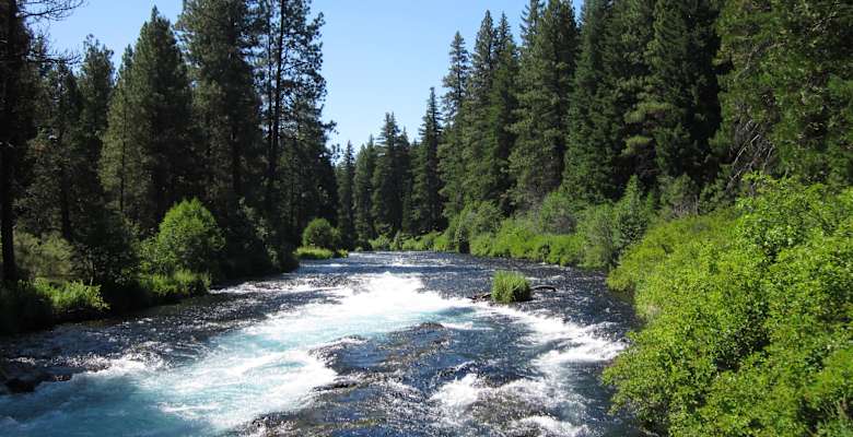 Whitefish Horse Campground Deschutes OR