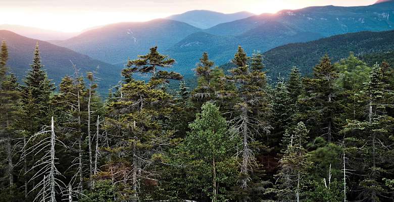 Thirteen Falls Tentsite White Mountain NH