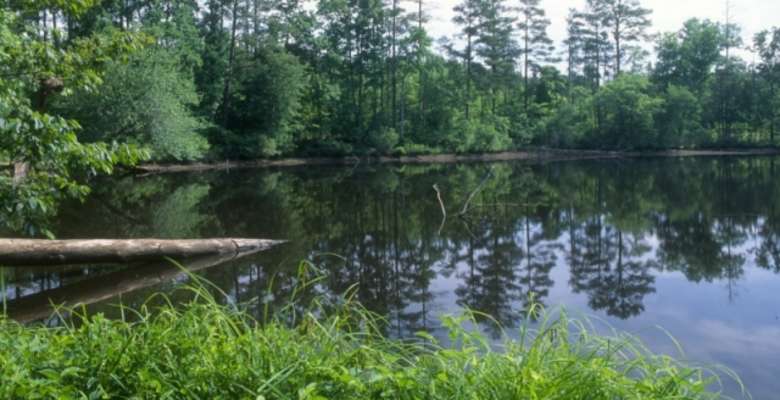 Arrowhead Campground Uwharrie NC