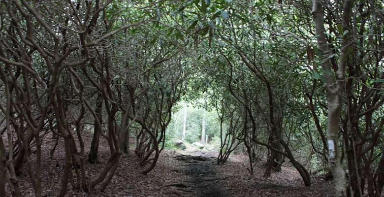 raven cliff campground