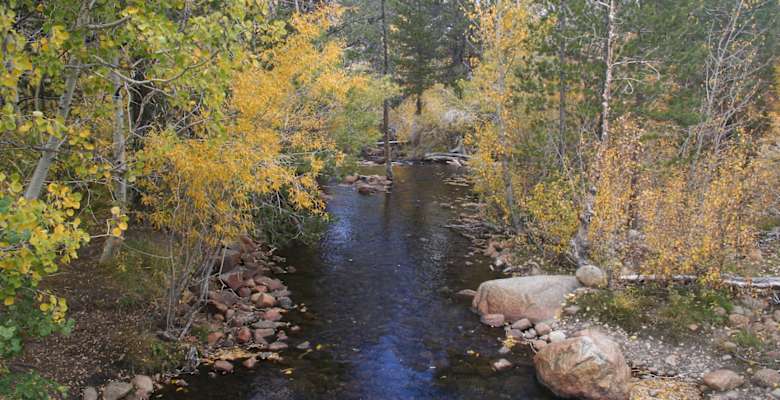 Forks Campground Inyo CA 1 Photo