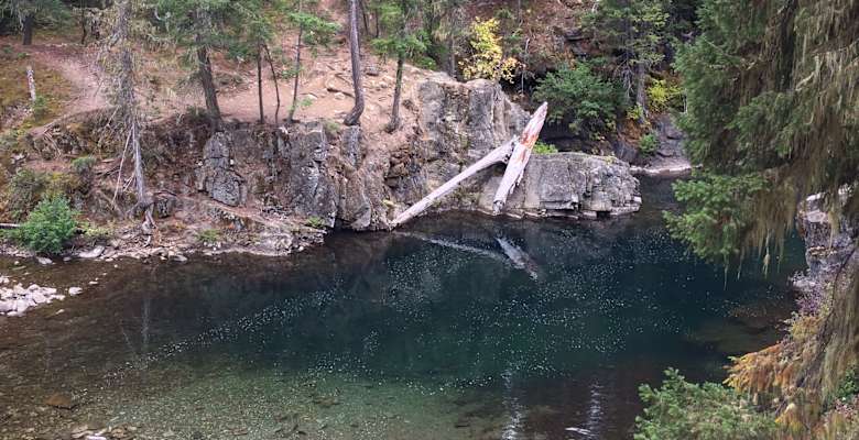 Salmon La Sac Campground Okanogan Wenatchee WA 3 Photos