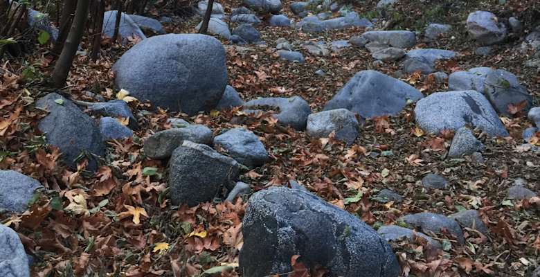 Valley forge trail best sale camp