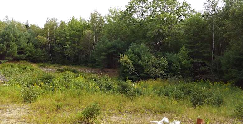 Abundant Animal Encounters Lotus Farm Me 6 Photos