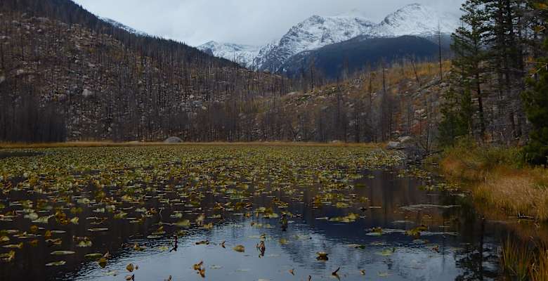 Glacier store basin campground