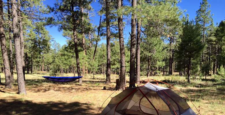 Canyon point campground sale