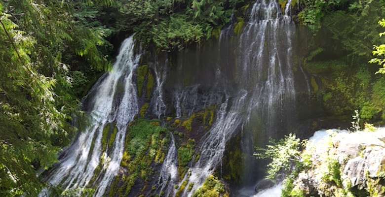 Panther creek 2025 falls campground