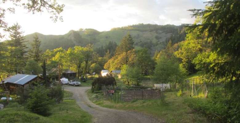 Mountain Homestead Yellow Room Simmonsville Ca 1 Hipcamper Review And 23 Photos