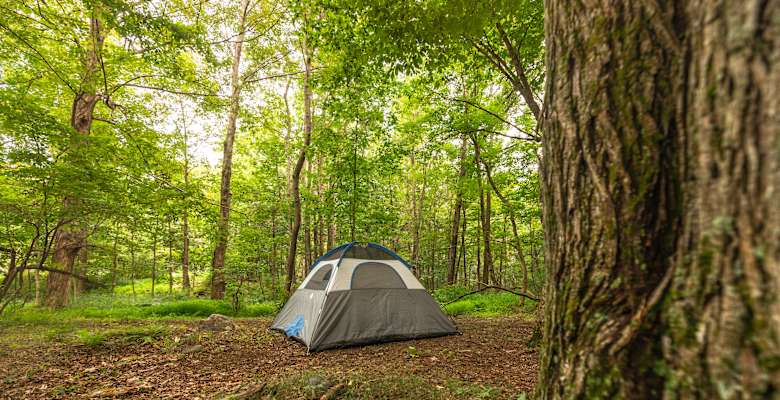 Mountain Creek Camping At Its Best Near Macedonia Brook State Park 84 Hipcamper Reviews And 99 Photos