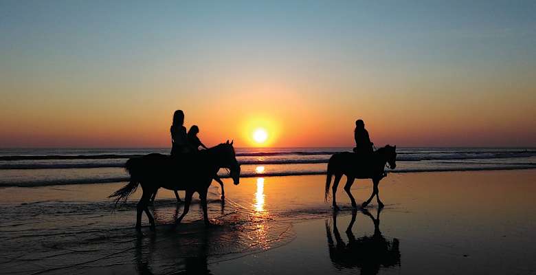 Beachin Ranch Camping W Horses Beachin Ranch Camping Ca 28 Hipcamper Reviews And 54 Photos