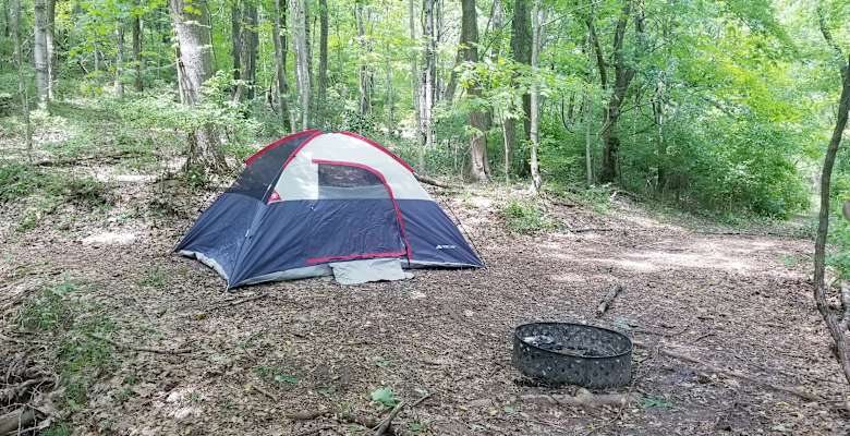 Hidden Forest Primitive Campsite, Quail 