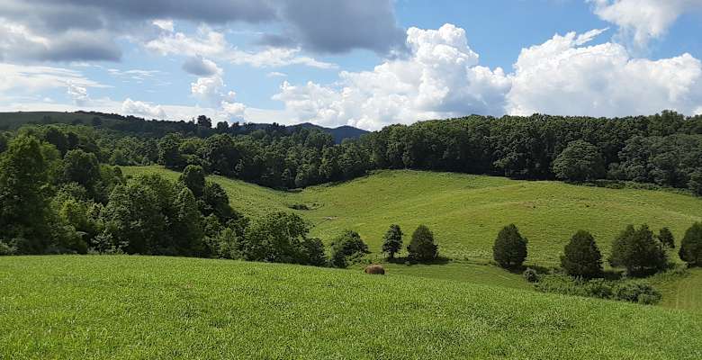 Poly View Farm Tent/Truck Camping, Beverly G.'S Land, VA: 5 Photos