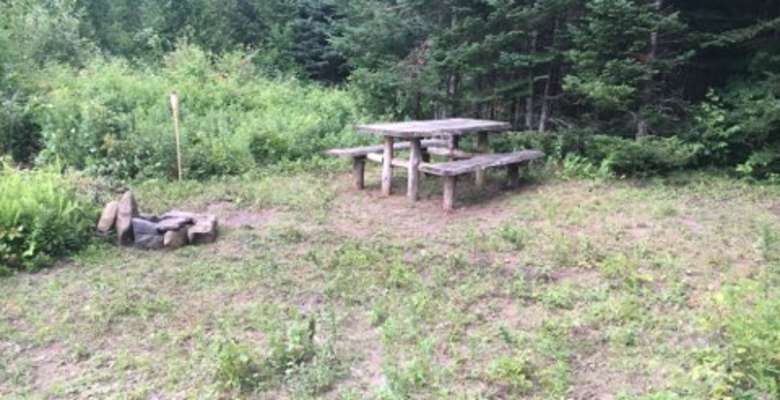 Feral Picnic Table Crickle Creek Vt, What Size Are Campground Picnic Tables