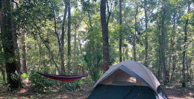 Tent Camping In Gainesville Nature Site Fl 4 Hipcamper Reviews And 14 Photos