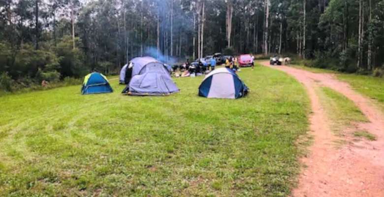 Zazu Large Group Camping Hakuna Matata Resort Booral Nsw 6 Hipcamper Reviews And 8 Photos