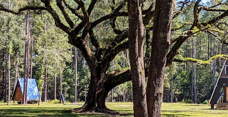 The 30 Best Campgrounds Near Hilton Head Island South Carolina