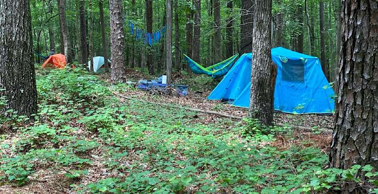 1 Peaceful, Easy To Access, Wooded, Shadetree Homestead ...