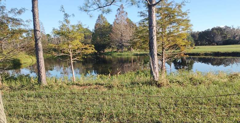 Picture of the land