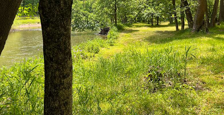 Picture of the land