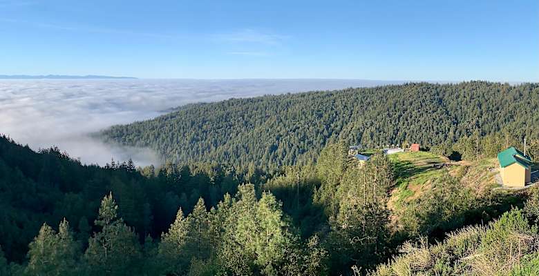 Picture of the land