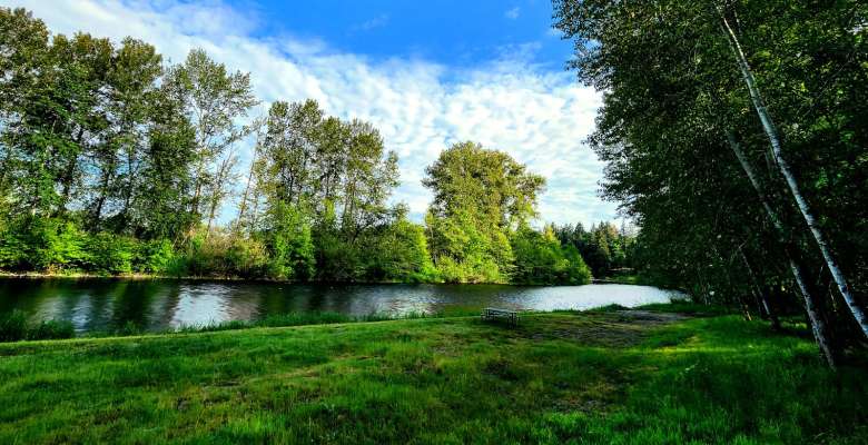 Picture of the land