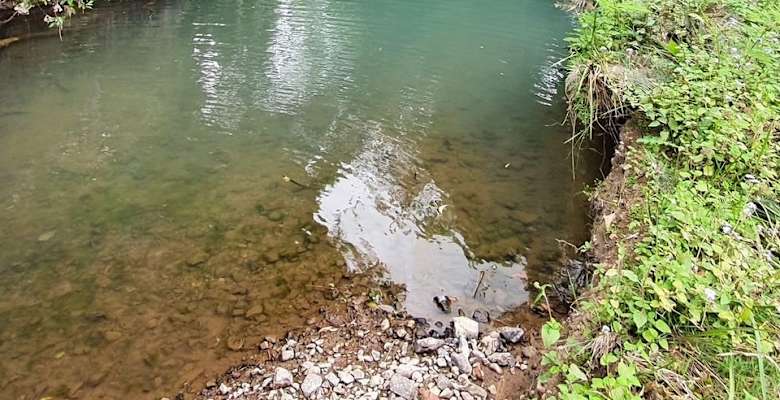 Picture of the land