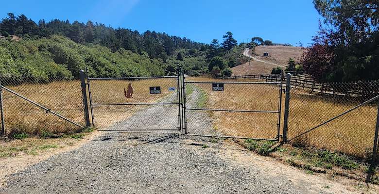 Picture of the land