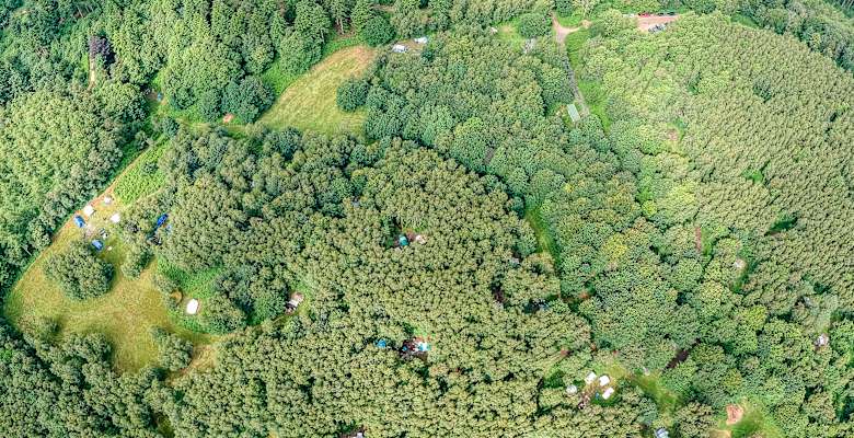 Picture of the land