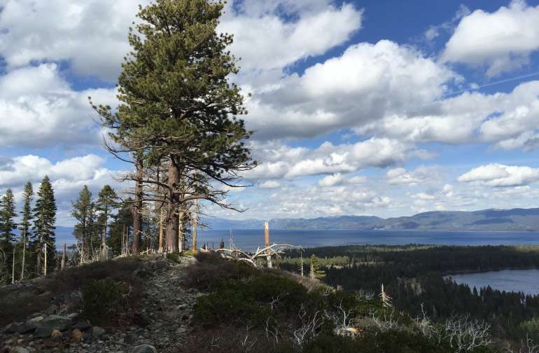 Sardine Lake Campground, Tahoe, CA: 3 Hipcamper Reviews And 15 Photos