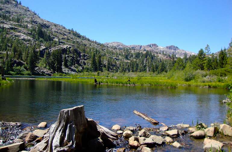 National Forests in California Best Campgrounds Hipcamp