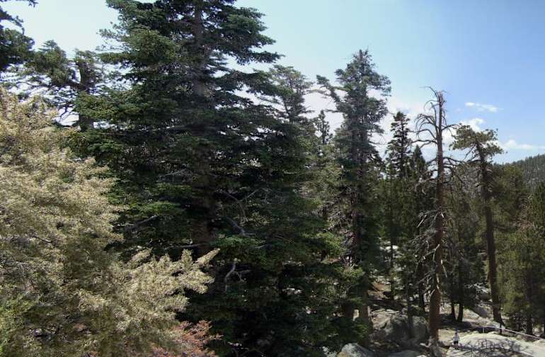 Little Round Valley Campground Mount San Jacinto CA 2 Hipcamper Reviews And 18 Photos