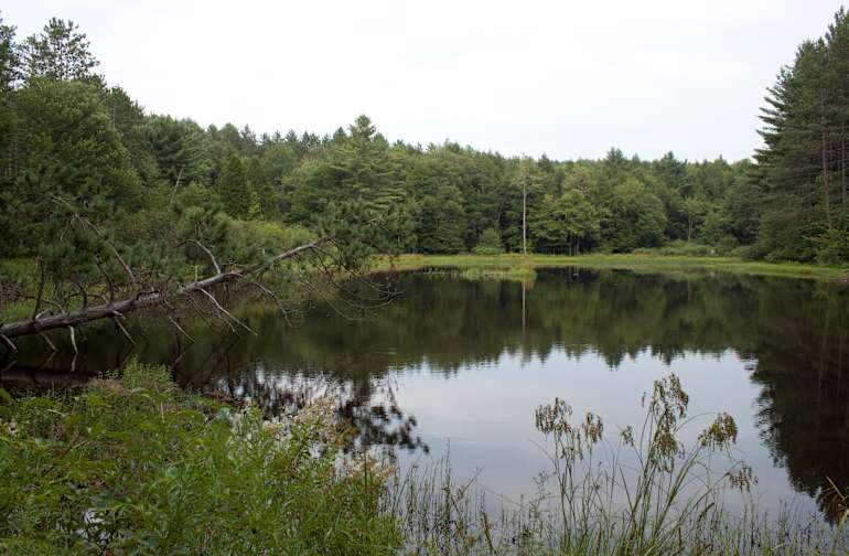 Best Camping in and Near Gilbert Lake State Park
