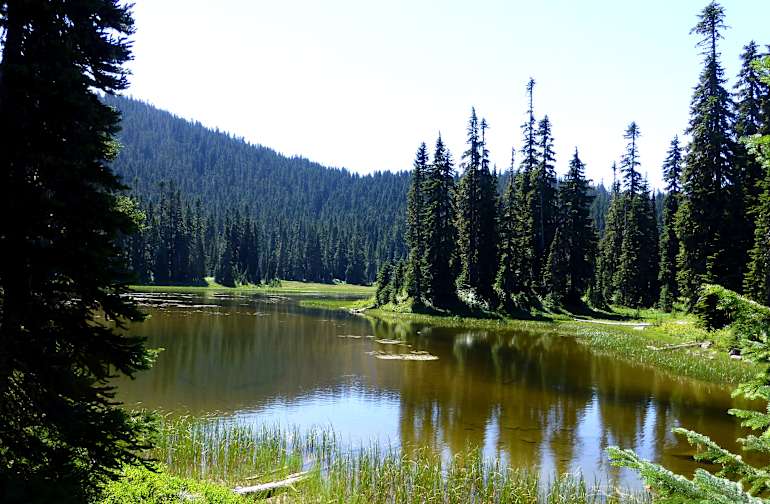 National Forests in Washington Best Campgrounds Hipcamp