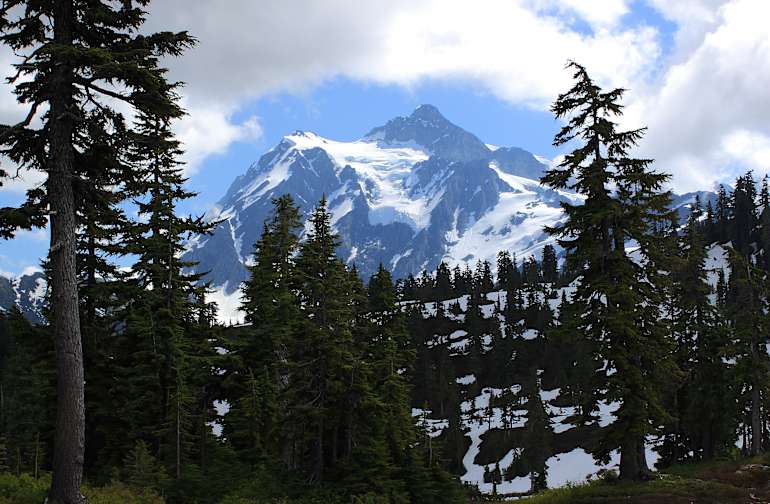 National Forests in Washington Best Campgrounds Hipcamp