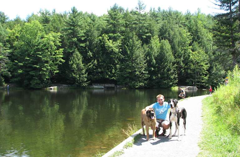 State Parks in Pennsylvania Best Campgrounds Hipcamp