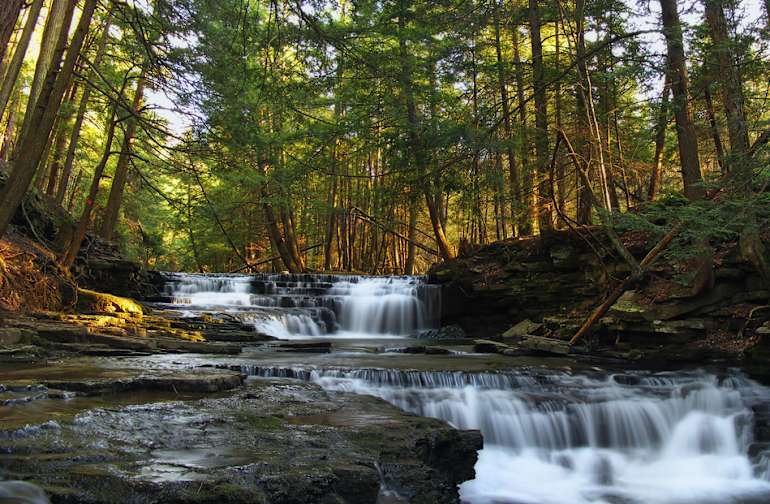 State Parks In Pennsylvania Best Campgrounds Hipcamp
