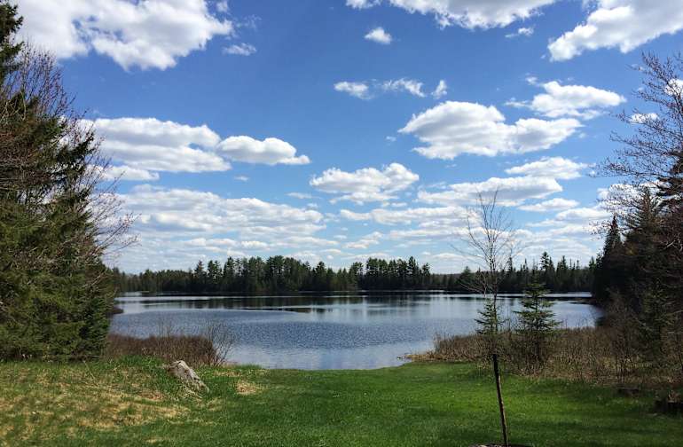 Escape to the Wilderness: Your Guide to Craig Lake State Park in Michigan