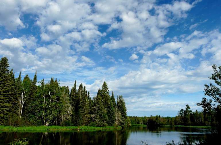 National Forests In Michigan Best Campgrounds Hipcamp
