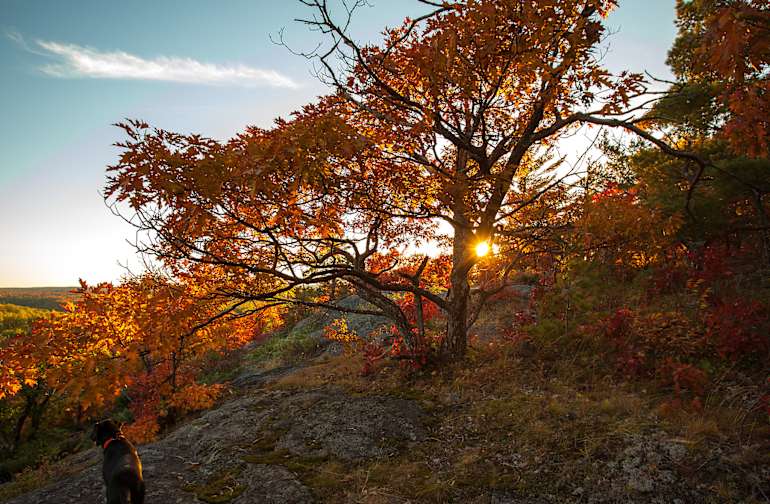 National Forests In Michigan Best Campgrounds Hipcamp