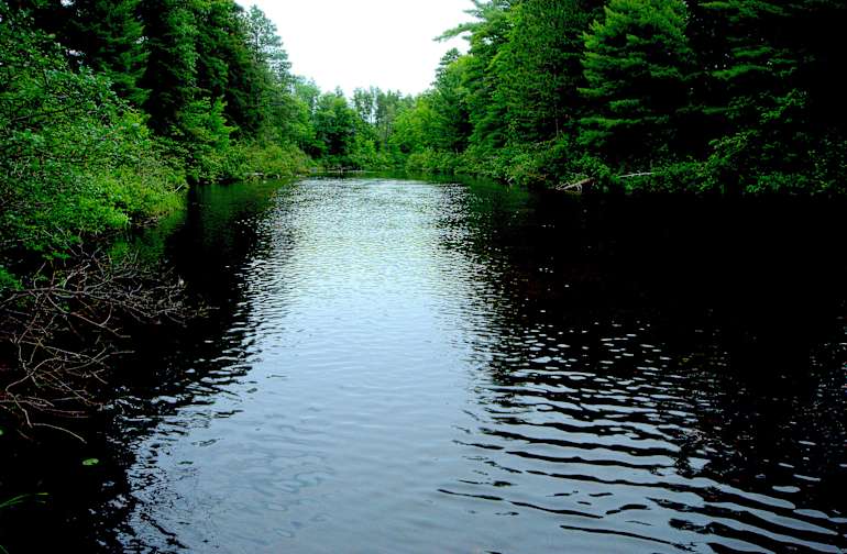 Tending to Environmental Change Impacts