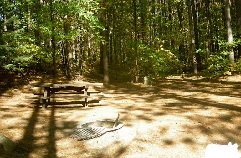 National Forests in Wisconsin Best Campgrounds Hipcamp