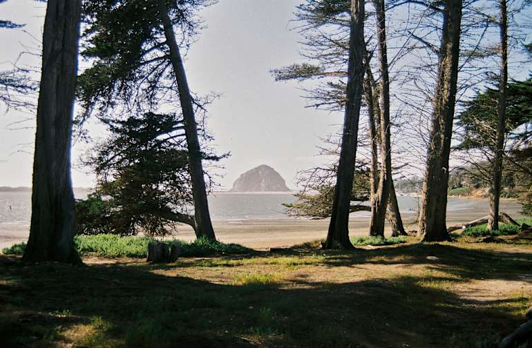 Morro Bay Campground Morro Bay Ca 15 Hipcamper Reviews And 65 Photos