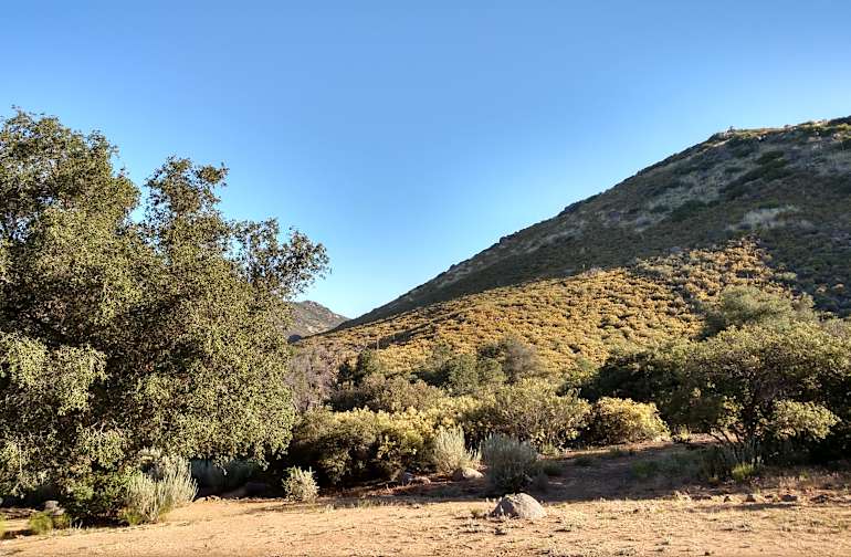 bobcat meadow campground