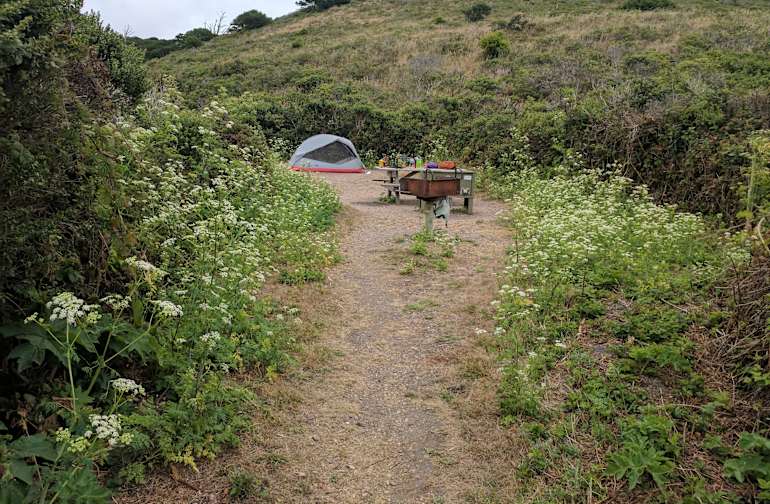 Glen Campground Point Reyes Ca 7 Hipcamper Reviews And 13 Photos